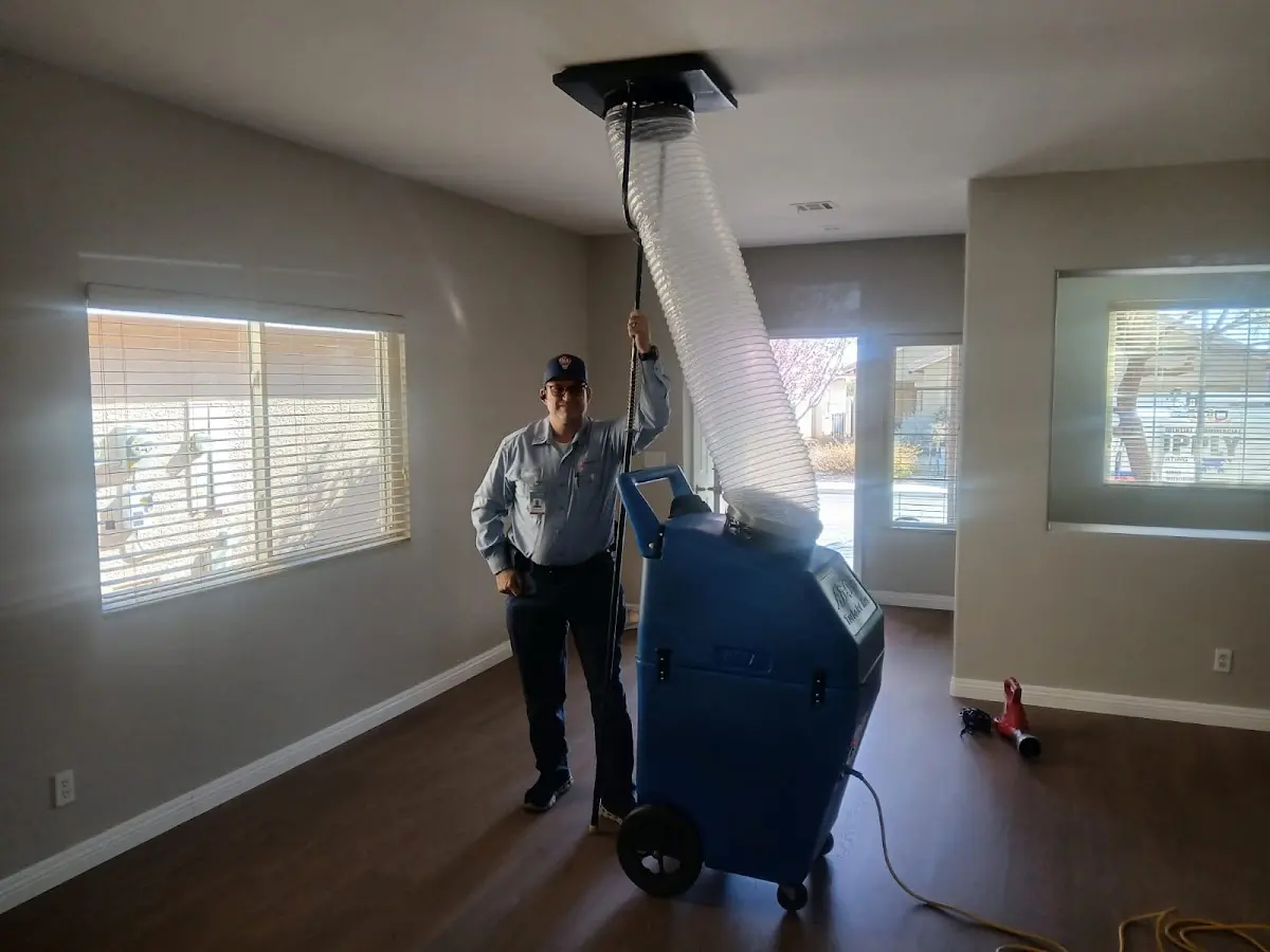 Professional Dryer Vent Cleaning work inside a Dallas home